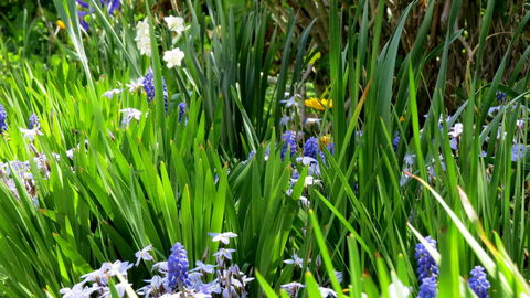 The Pig And Whistle - South Australia Travel 23