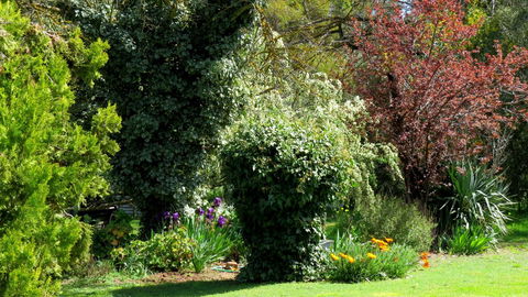 The Pig And Whistle - South Australia Travel 19