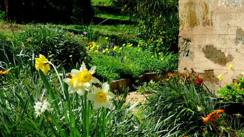 The Pig And Whistle - South Australia Travel 20