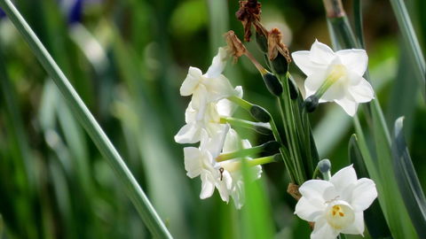 The Pig And Whistle - South Australia Travel 21