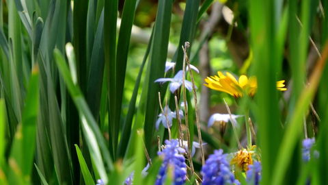 The Pig And Whistle - South Australia Travel 22