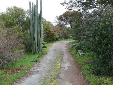 The Pig And Whistle - South Australia Travel 37