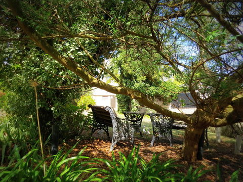 The Pig And Whistle - South Australia Travel 4