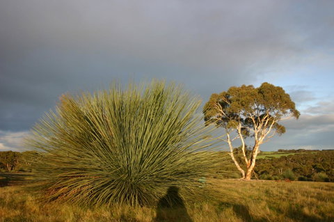 Ecopia Retreat - South Australia Travel 23
