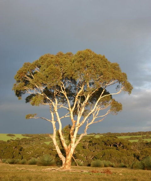 Ecopia Retreat - South Australia Travel 24