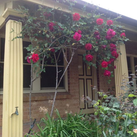 Oats Cottage - South Australia Travel 3
