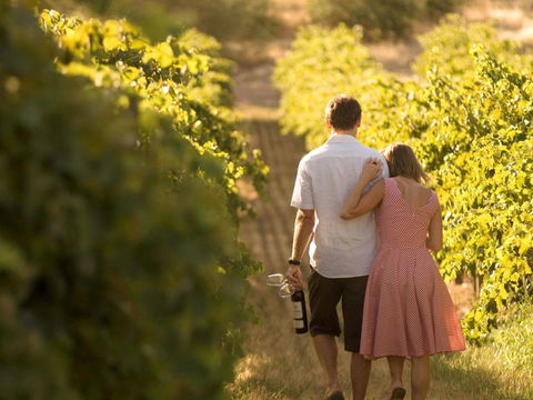 Novotel Barossa Valley Resort - South Australia Travel 40