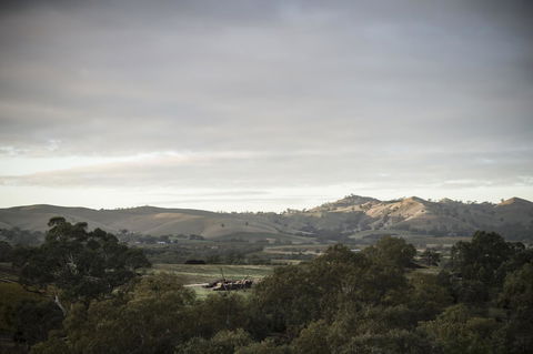 Novotel Barossa Valley Resort - South Australia Travel 23