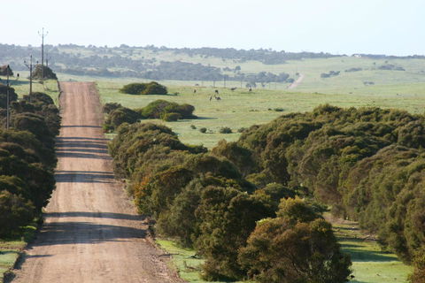 Almonta Park Lodge - South Australia Travel 1