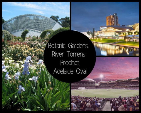 Project BNB On Waymouth - South Australia Travel 5