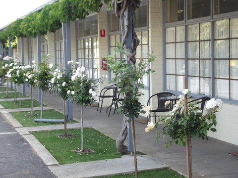 Guichen Bay Motel - South Australia Travel 38