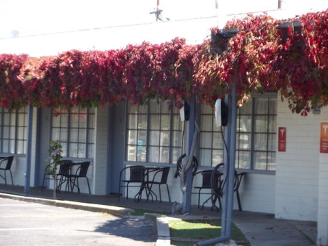 Guichen Bay Motel - South Australia Travel 23