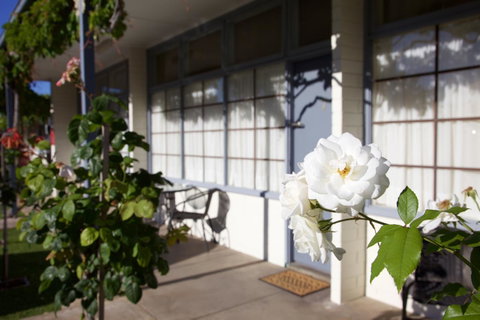 Guichen Bay Motel - South Australia Travel 33