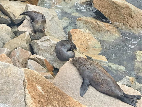 Penthouse On The Promenade - South Australia Travel 17