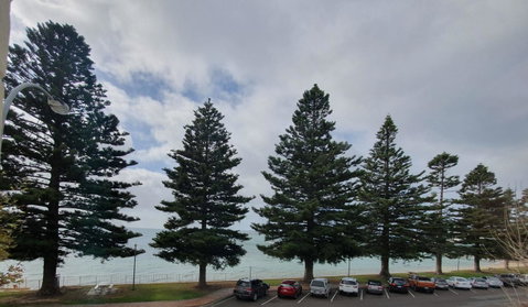 Pier Hotel Port Lincoln - South Australia Travel 12