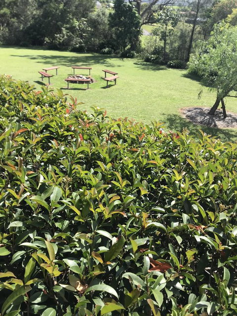 Avon View Stays Accommodation. - South Australia Travel 10