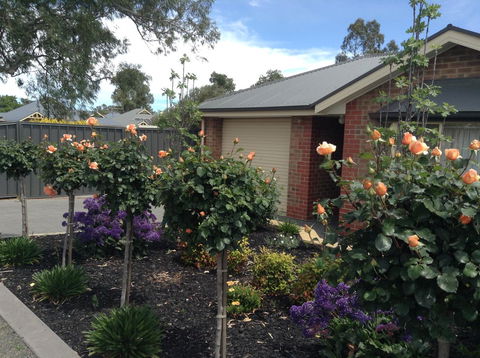 C And C Tanunda - South Australia Travel 1