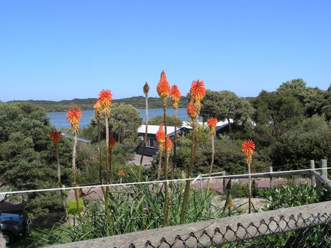 Lakeside Tourist Park - South Australia Travel 3