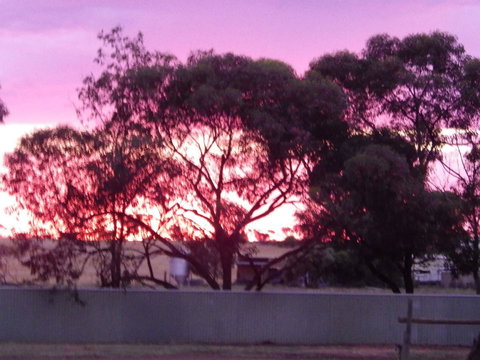 Wudinna Gawler Ranges Motel And Caravan Park - South Australia Travel 11