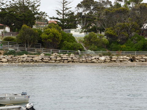 Island Motel Kingscote - South Australia Travel 4