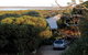 Edge Of Innes - thumb 11