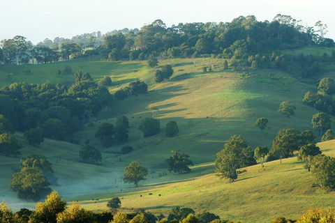 SummerHills Retreat Byron Bay - South Australia Travel 20