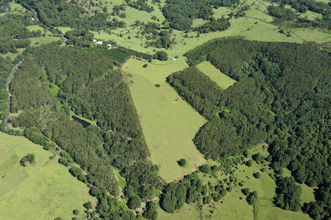 SummerHills Retreat Byron Bay - South Australia Travel 19