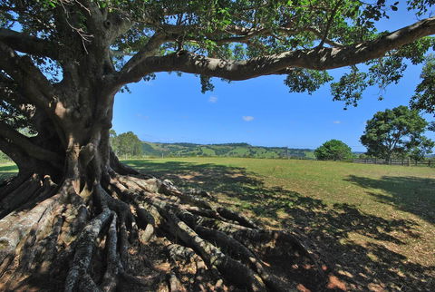 SummerHills Retreat Byron Bay - South Australia Travel 8