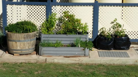 BIG4 Ceduna Tourist Park - South Australia Travel 30