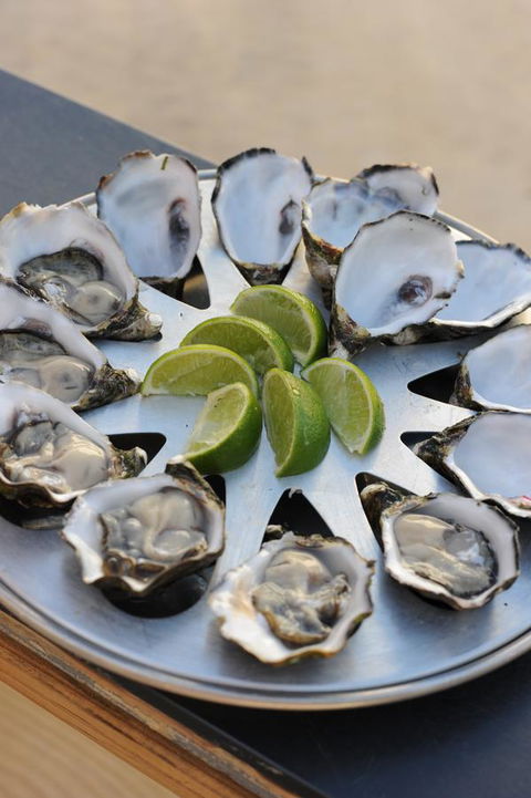 BIG4 Ceduna Tourist Park - South Australia Travel 41