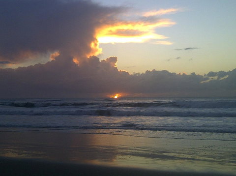 Byron Bay Guest - South Australia Travel 1