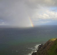 Byron Bay Guest - South Australia Travel