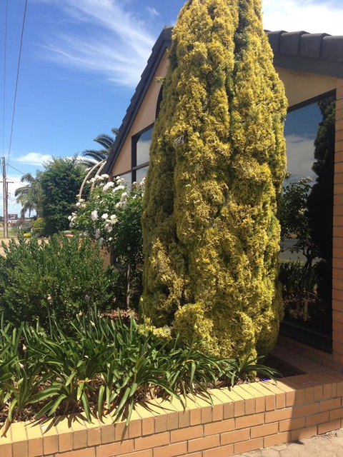 Aviators Lodge - South Australia Travel 9