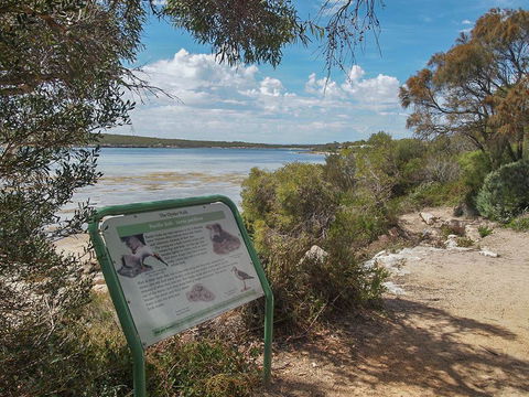 Willygunyah - South Australia Travel 31