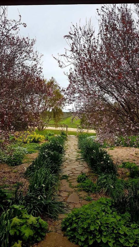 D2 At Watervale - South Australia Travel 4