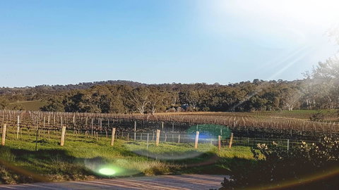 D2 At Watervale - South Australia Travel 23