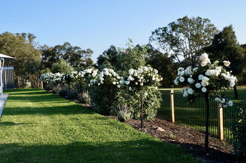 Beltana Villas - South Australia Travel 2