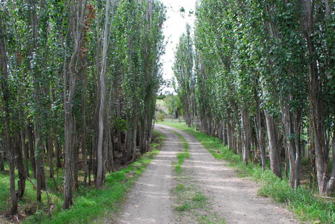 Back Valley Farmstay Bed And Breakfast - South Australia Travel 2