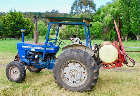 Back Valley Farmstay Bed And Breakfast - South Australia Travel 14