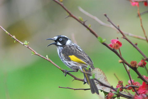 Back Valley Farmstay Bed And Breakfast - South Australia Travel 16