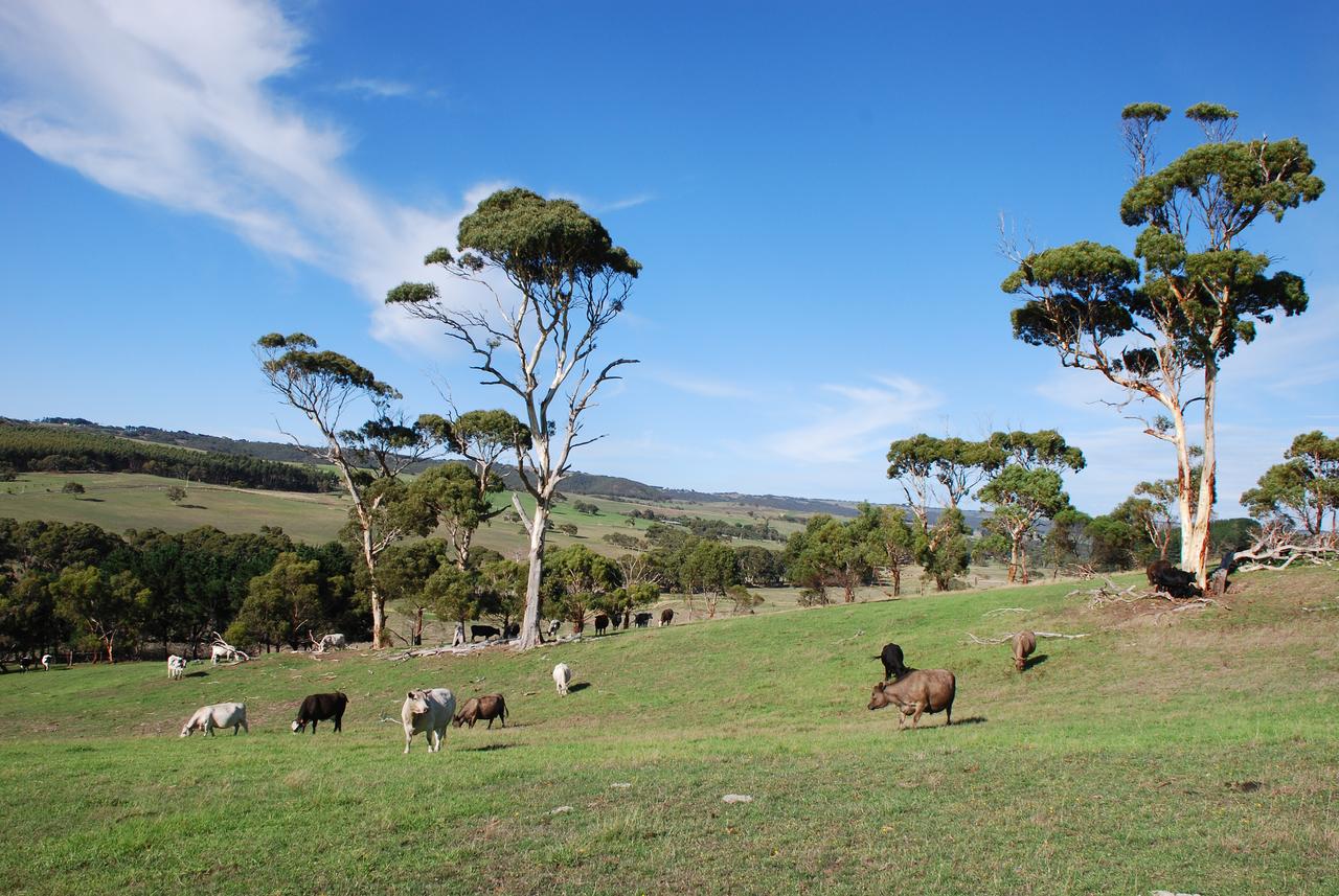 Back Valley SA South Australia Travel