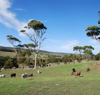 Lisieux Farm Bed and Breakfast - South Australia Travel