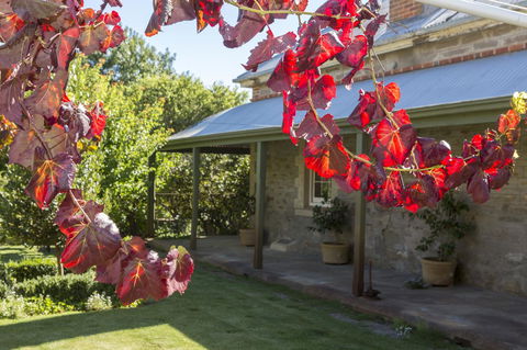 Grand Cru Estate Homestead - South Australia Travel 0