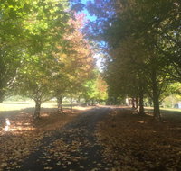 A peaceful cabin in the country - South Australia Travel