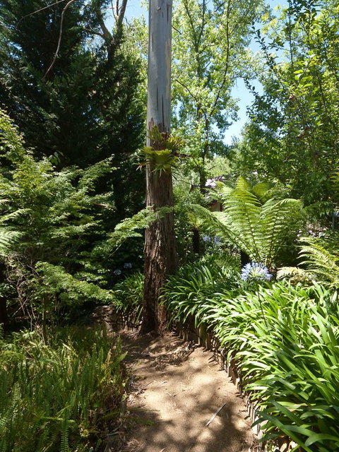 Aldgate Creek Cottage Bed And Breakfast - South Australia Travel 27