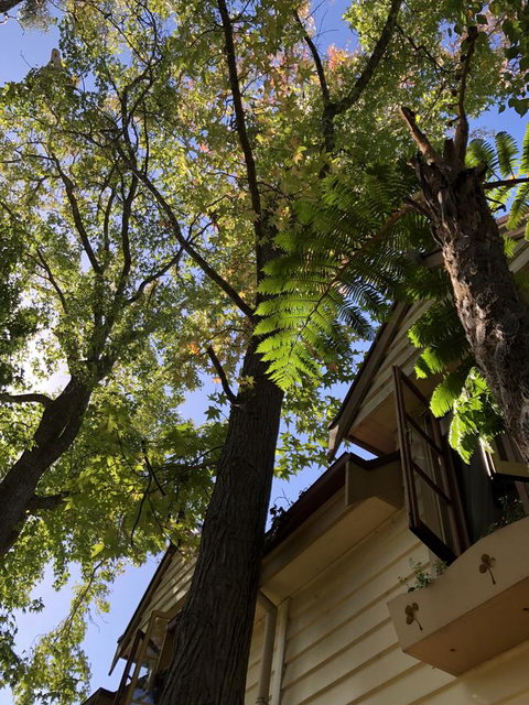 Aldgate Creek Cottage Bed And Breakfast - South Australia Travel 8