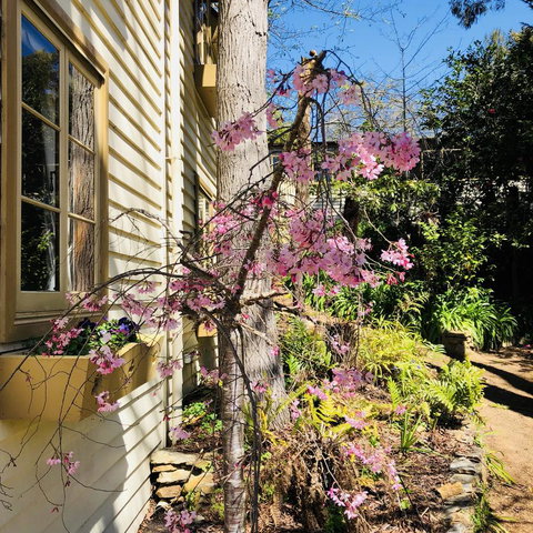 Aldgate Creek Cottage Bed And Breakfast - South Australia Travel 19