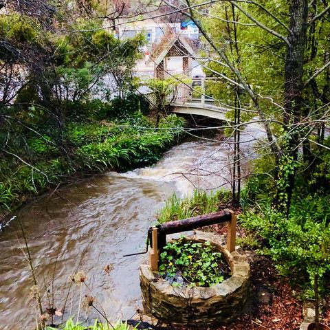 Aldgate Creek Cottage Bed And Breakfast - South Australia Travel 23