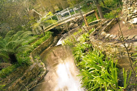 Aldgate Creek Cottage Bed And Breakfast - South Australia Travel 17