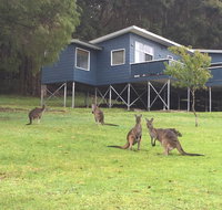 Blue House Denmark - South Australia Travel